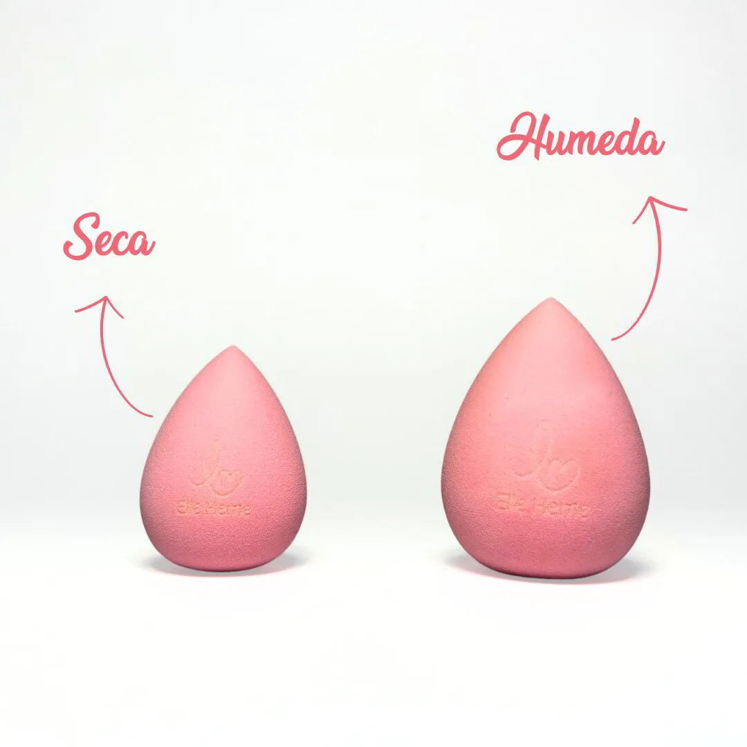 Combo Kit de Brochas LM + ElleBlender